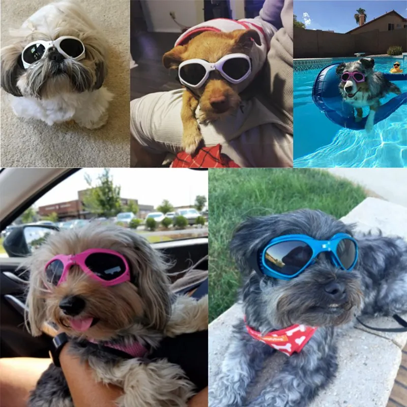 Foldable Pet Dog glasses medium Large Dog pet glasses Pet eyewear waterproof Dog Protection Goggles UV Sunglasses