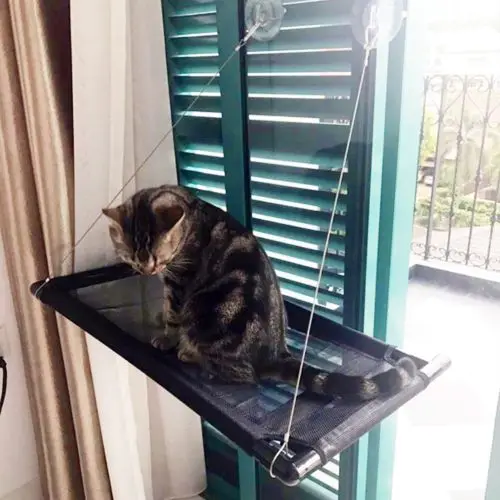 

Cat Window Perch Bed Multi Cat Window Sunny Seat Suction Cups Space Saving