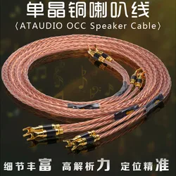 ATAUDIO Hifi 7N OCC Speaker Cable High Quality Speaker Cord With Carbon Fiber Gold-plated Banana Y Plug