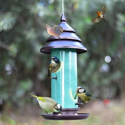 

2019 New European style wild bird feeder Outdoor bird feeders food container
