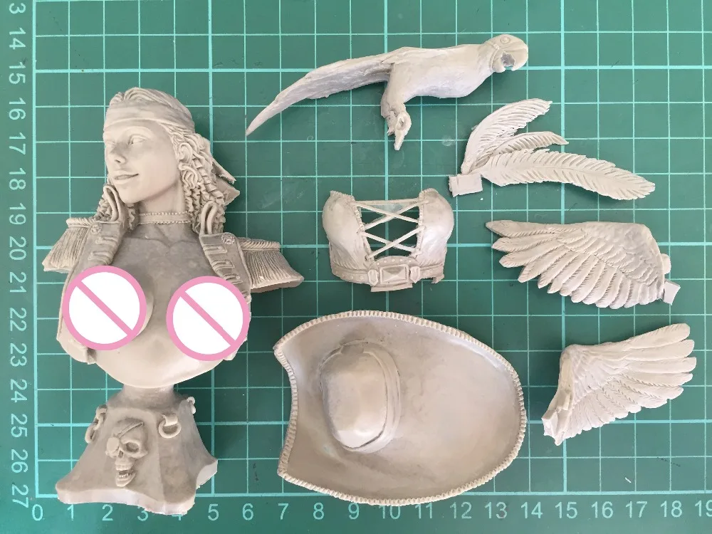 1/8 Resin Model Building Kit bust   Parrot and female pirate