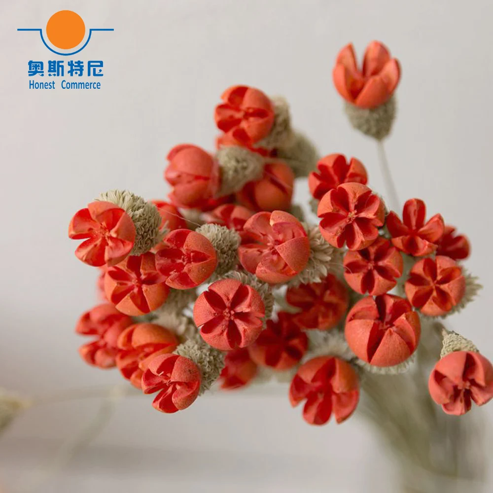 15pcs natural dried flower bouquets dried Crape Myrtle Flowers&Lagerstroemia indica&Jakaranda&common crapemyrtle flower bouquets