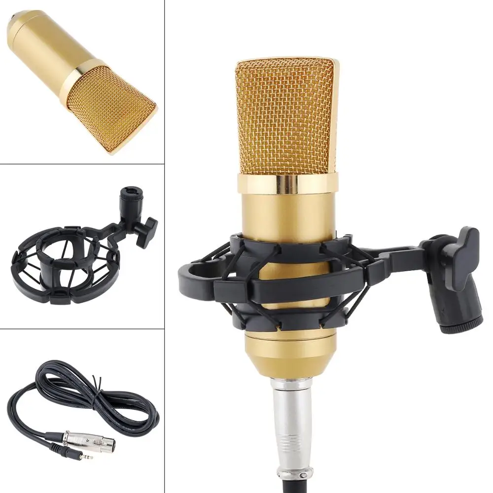 BM-700 Professional Condenser Microphone with Circuit Control and Gold-plated Large Diaphragm Head for Studio / KTV