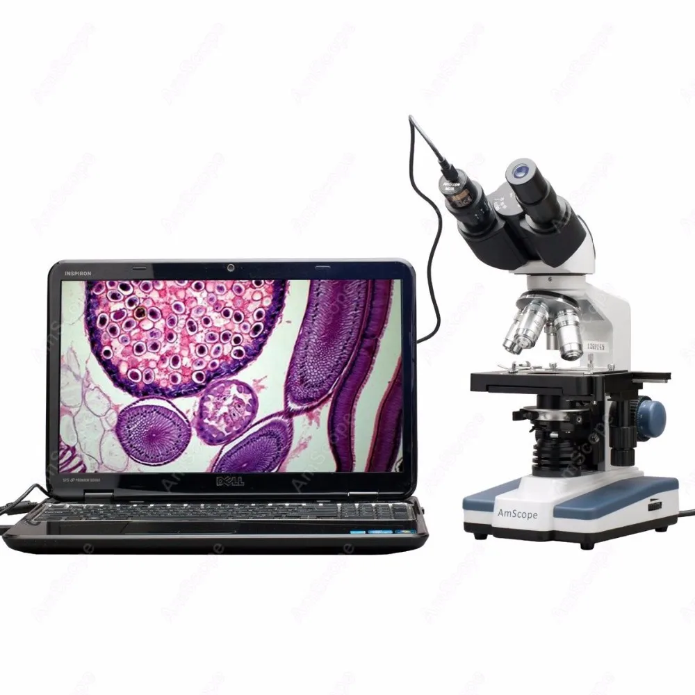 Binocular Compound Microscope--AmScope Supplies 40X-2500X LED Digital Binocular Compound Microscope w 3D Stage + 5MP USB Camera