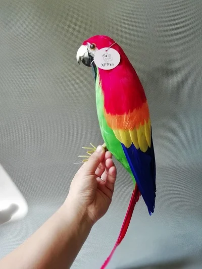 new real life red&green parrot model foam&feather bird gift about 42cm xf0002