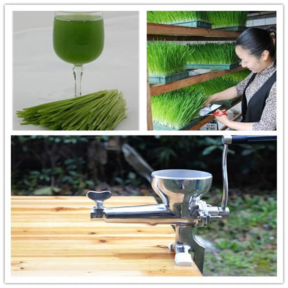 Stainless steel wheatgrass fruit vegetable juicer juicing machine