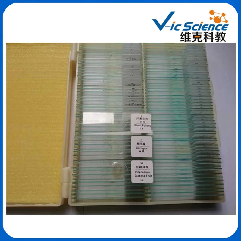 100PCS Botany Biological Prepared Slides