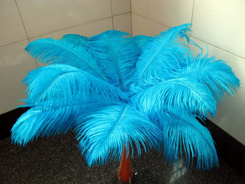 wholesale Quality 10pcs perfect Leniency Male Lake blue natural ostrich feather 12-14inch/30-35cm decorative diy