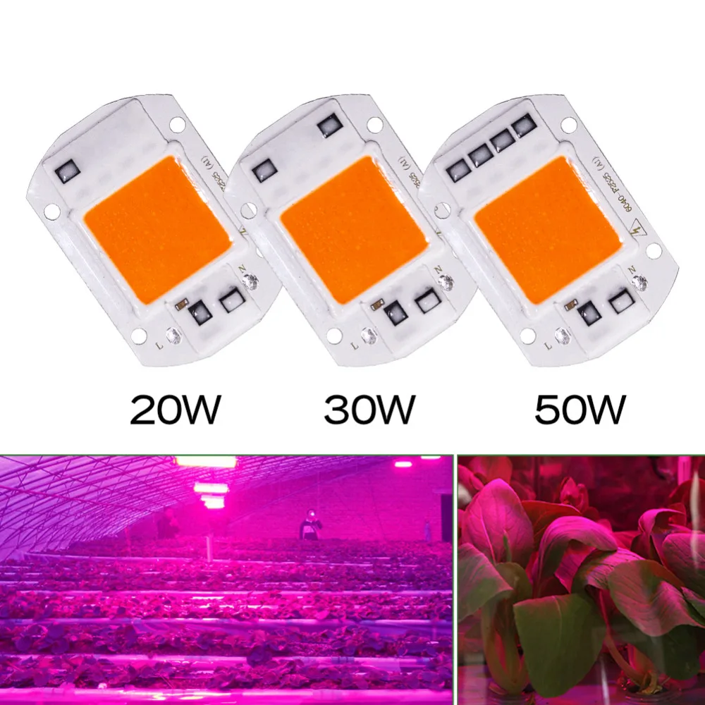 

Full Spectrum Lamp Cob Led Grow Light Chip DIY 20w 30w 50w AC 110V 220V Indoor Tent Box Garden Hydroponics Plant Flower Bloom