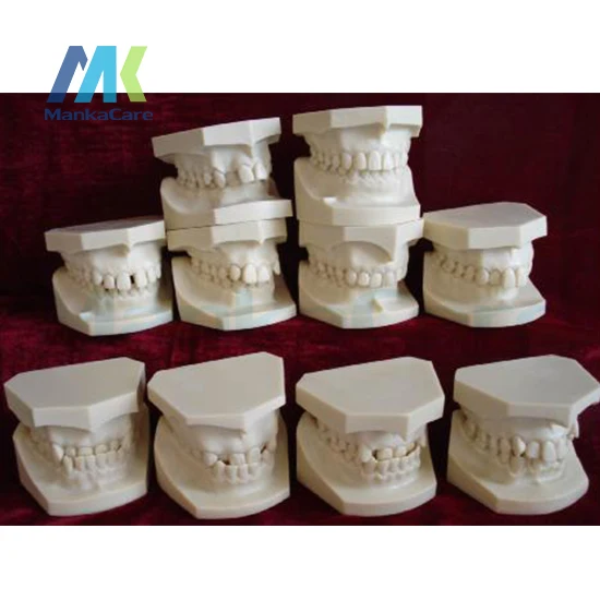 

Models with designed according to Dr.Angel`s classification of malocclusions. Aset of 10 models Oral Model Teeth Tooth Model