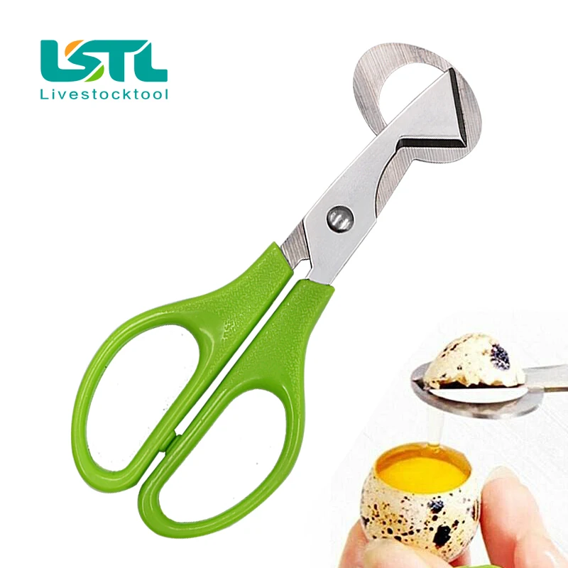 Tijeras de acero inoxidable para huevos de codorniz, herramienta creativa para abrir huevos de aves, 5 unidades, envío gratis 36