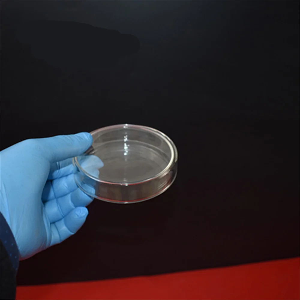 5pcs /lot 150MM High Quality Glass Petri Dish for Lab Plate Bacterial Yeast Diameter