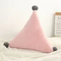 pink Triangle S