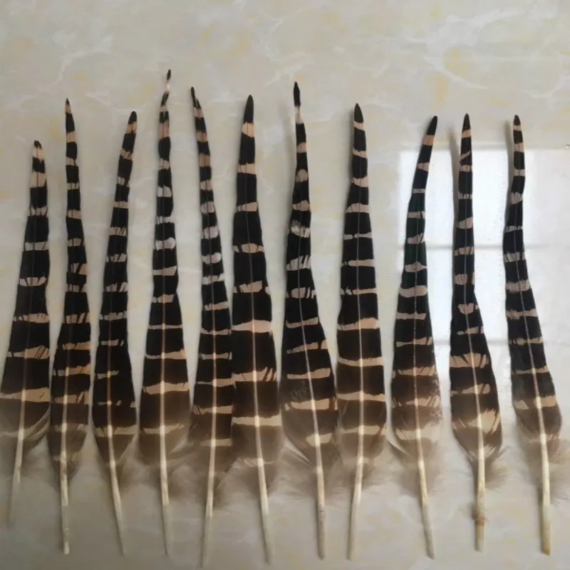 Free shipping wholesale high quality 50pcs owl eagle feather 6-8 inch / 15-20 cm various decorative diy collect