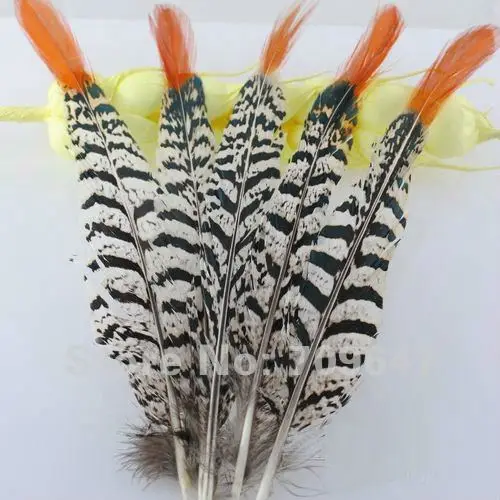 20Pcs/lot! 24-28cm Long Lady Amherst Pheasant Orange Tipped Feathers for Millinery, Costuming, Jewelry Making