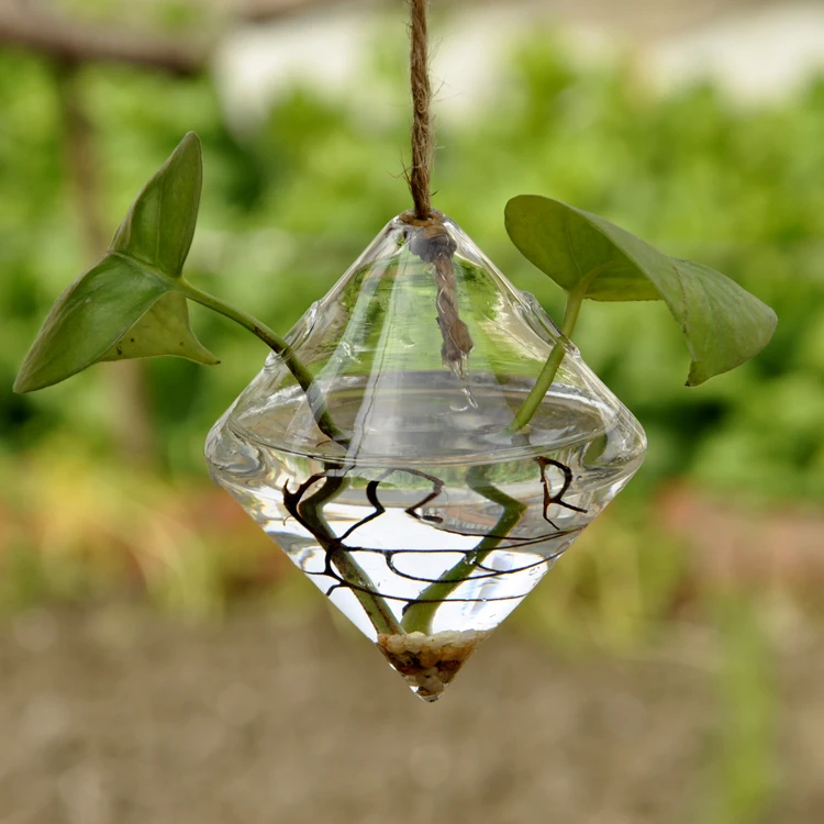 Terrarium Container Flower Planter Hanging Glass for Hydroponic Plants Home Garden Decoration 10pcs