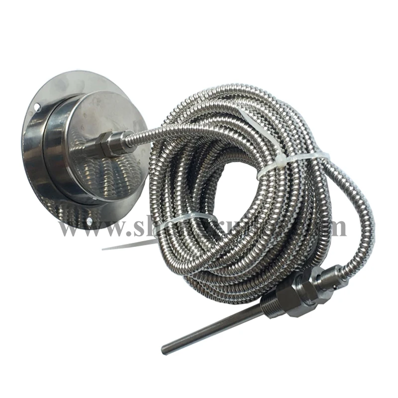 2.5 inch Capillary thermometer