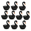 10pcs Black