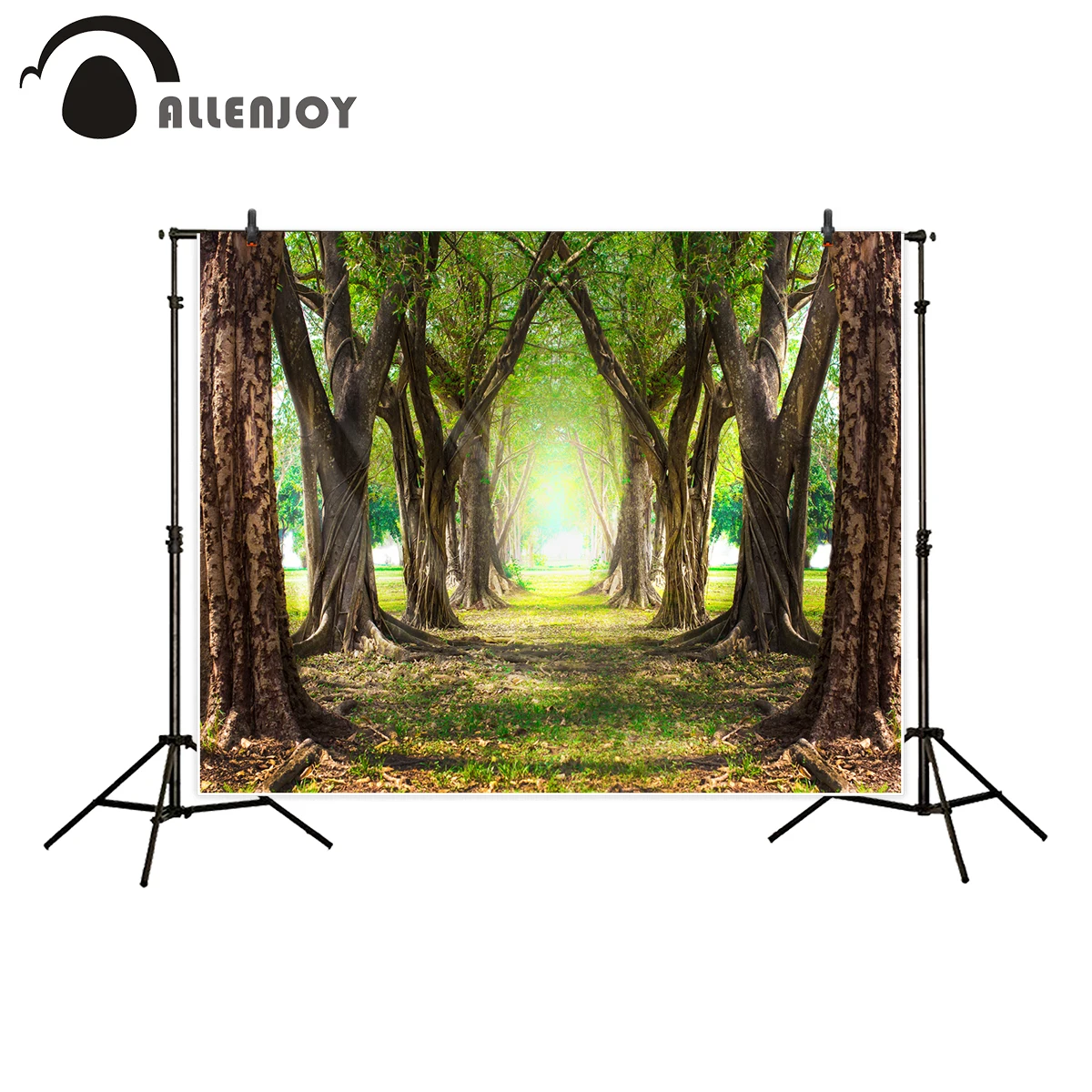 Allenjoy-Fondo para estudio de fotografía, telón de diseño original para sesión fotográfica, bosque mágico, verde, temporada de primavera, sendero forestal