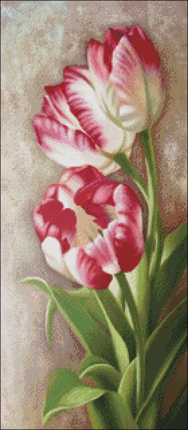 Embroidery Counted Cross Stitch Kits Needlework - Crafts 14 ct DMC DIY Arts Handmade Decor - Parrot Tulips 1