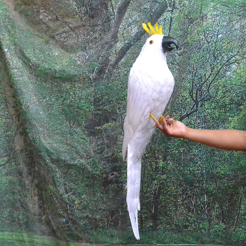 large 80cm white feathers cockatoo parrot bird model polyethylene&feathers parrot home garden decoration gift s2998