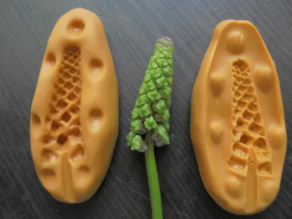 Plant foliage wheat  silicone fandont mold  wheat  Silica gel moulds  Plant  Chocolate molds bud candy mould bud silicone molds