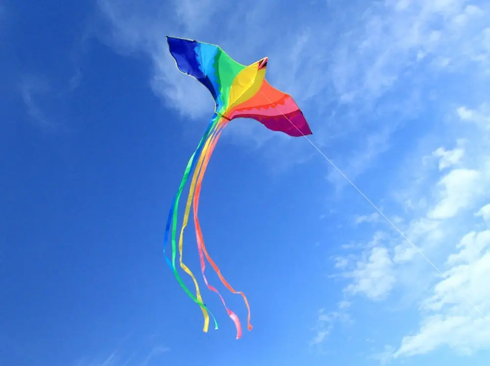 Cerf-volant Phoenix à longue queue colorée pour enfants et adultes, énorme maire intérieur, livré avec ficelle, 74 po