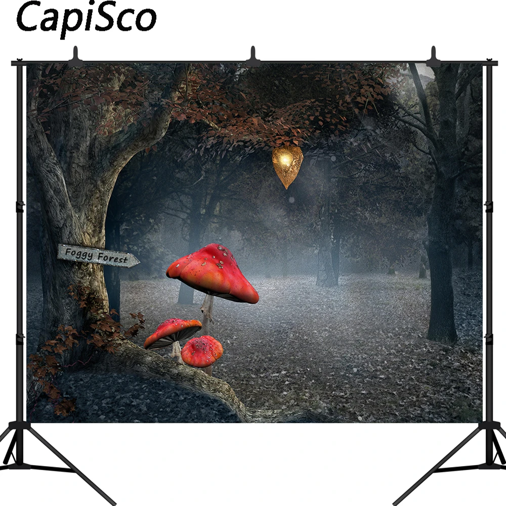 خلفية تصوير الغابة كابيسكو ، خلفية صور للأطفال ، استوديو صور خرافية ، فطر