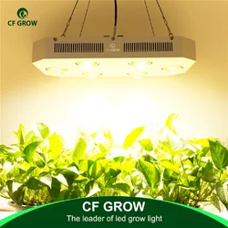 Lampe de croissance LED COB, 300W, 600W, 900W, 3500K, 5000K, double interrupteur avec lanière, éclairage d'intérieur pour plantes, légumes et fleurs