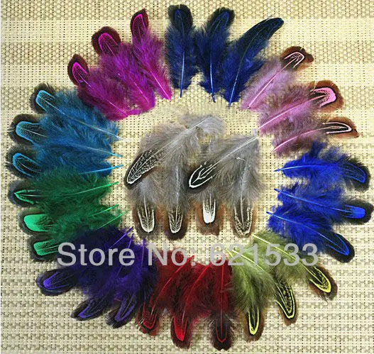 200Pcs/Lot 2-3 inches 5-7cm Loose Multicolor RINGNECK PHEASANT ALMOND FEATHERS FOR FLY TYING