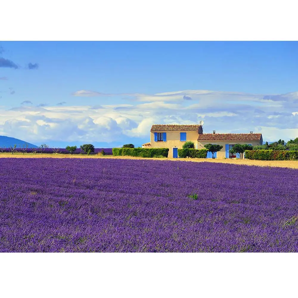 Purple Lavender Sky House Vinyl Photo Background Scenic Computer Printed Photography Backdrops Photocall  Photo for Wedding