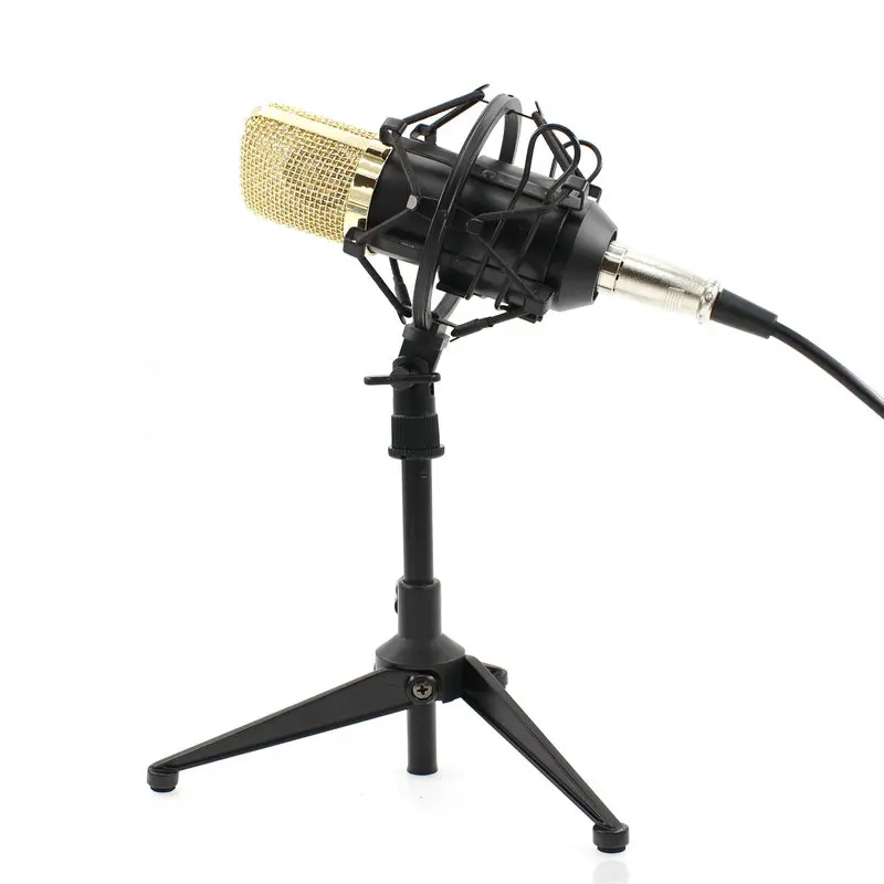 BM-700 Condenser KTV Microphone BM700 Cardioid Pro Audio Studio Vocal Recording Mic KTV Karaoke With  Metal Tripod