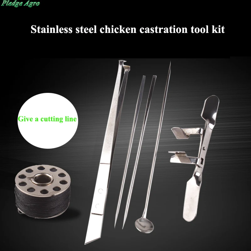 Chicken Capon Kit Tools Cock Rooster Caponizing Caponize Instruments Set Farm Poultry Equipment Device Stainless Steel Day Old