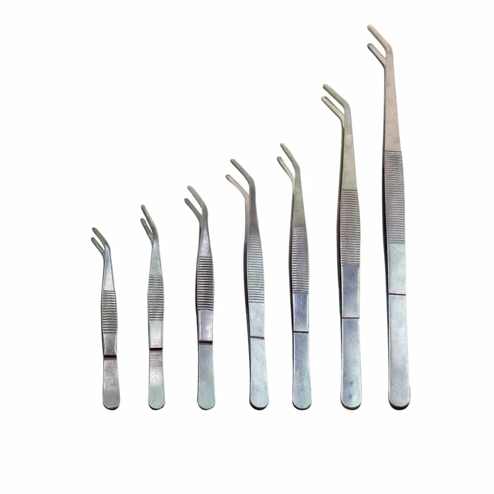 5Pcs Medical Tweezers Stainless Steel Surgical Precision Bent Dental Forceps Extraction Teech Tooth Health Care Accessories