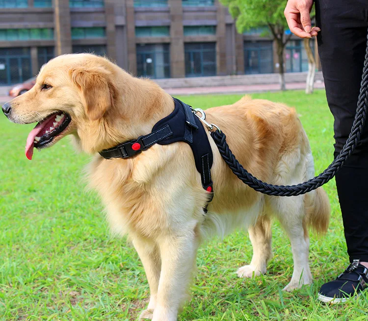 2017 High Quality Upgraded color collar Large Dog Harnesses Traction rope walk the dog P chain Pet  For Medium and large Dogs