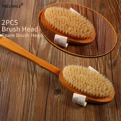 TREESMILE Exfoliating Bath Brush Natural Bristle Bath Brush Long Handle Wooden Bristles Soft Hair Rub Back Shower Brush D20