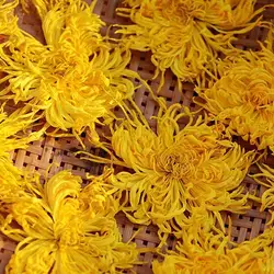 New pressed dried natural yellow Chrysanthemum flowers DIY  christmas / Chinese New Year home decoration flowers accessories 5pc