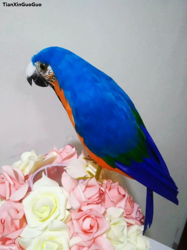 

large 42cm coloured blue feathers parrot simulation bird hard modelprop,home garden decoration gift s1341