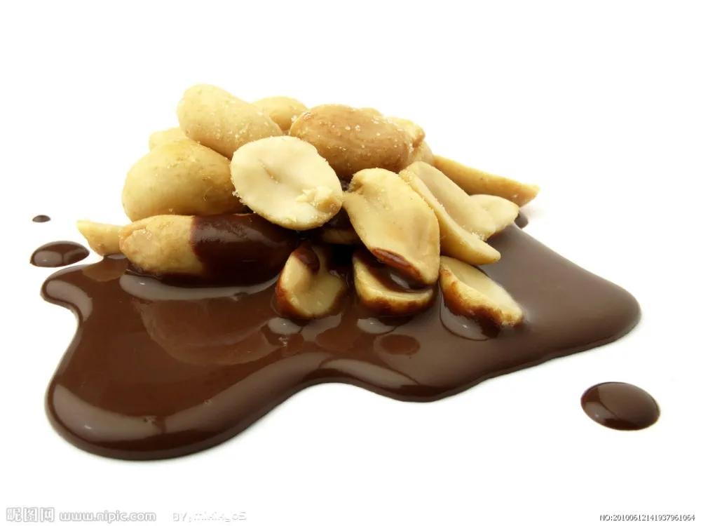 UDTY-400 petite machine d'enrobage de sucre d'arachide à fréquence variable