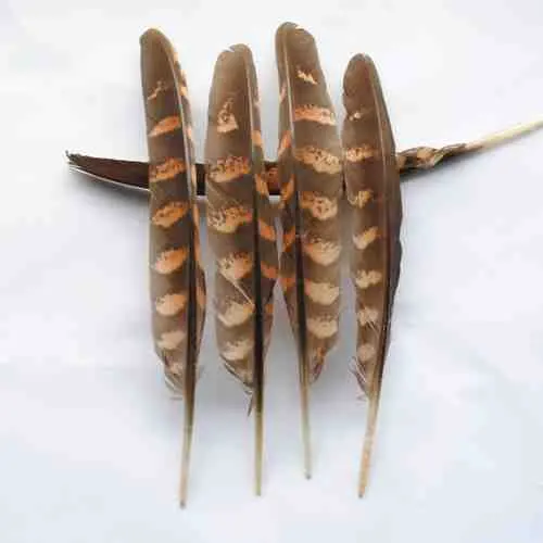 Plume decoration! 50Pcs/Lot  6-8inches 15-20CM  Natural REEVES PHEASANT WING FEATHERS,Loose Reeves Pheasant Quill Feathers