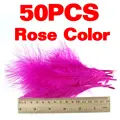 Color Rosa 50 Piezas