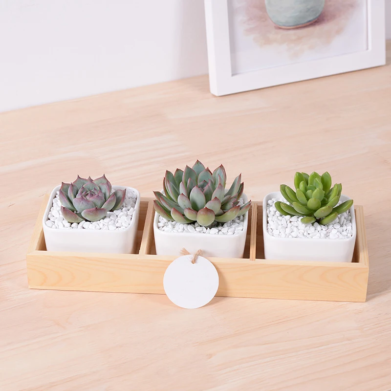 1 Set Large White Square Ceramic Succulent Plant Pots with Bamboo Tray Box Desktop Home Decoration(3 pots + 1 Tray)