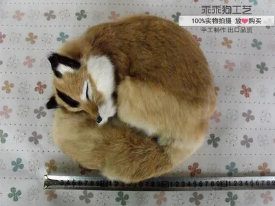 simulation cute sleeping fox 27x12cm model polyethylene&furs fox model home decoration props ,model gift d841