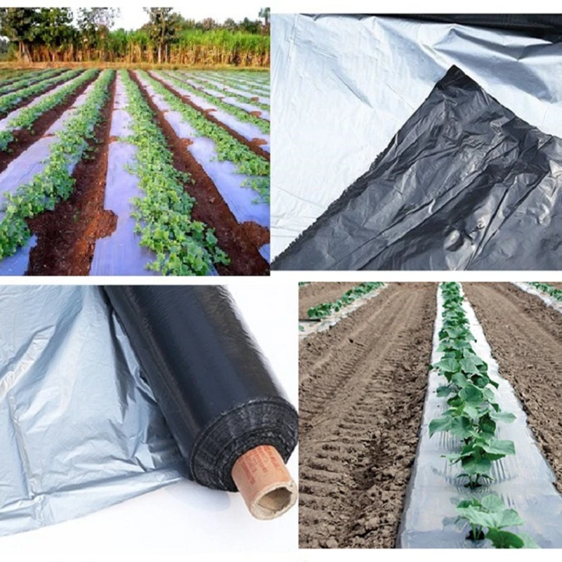 

New Arrival 0.02mm Width 1M Agriculture Silver Black Plastic Mulch Greenhouse Keep Warm Organic Insect Control Ground Film