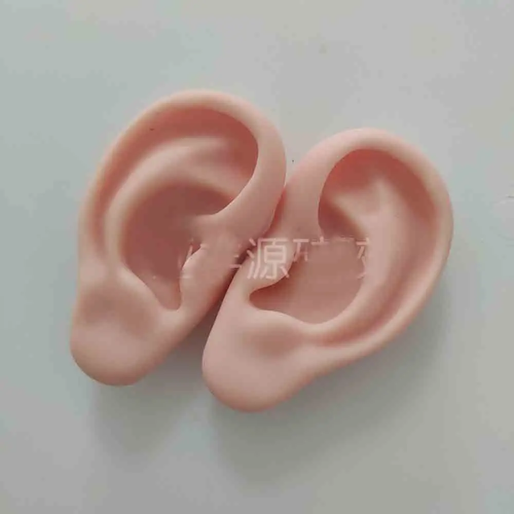 

ear model silicone ear acupuncture practice model right and left Teaching Resources modele oreille for medical science