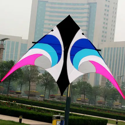 Outdoor Fun Sports  New 2.8 m  Power Delta  Kite  with flying tools