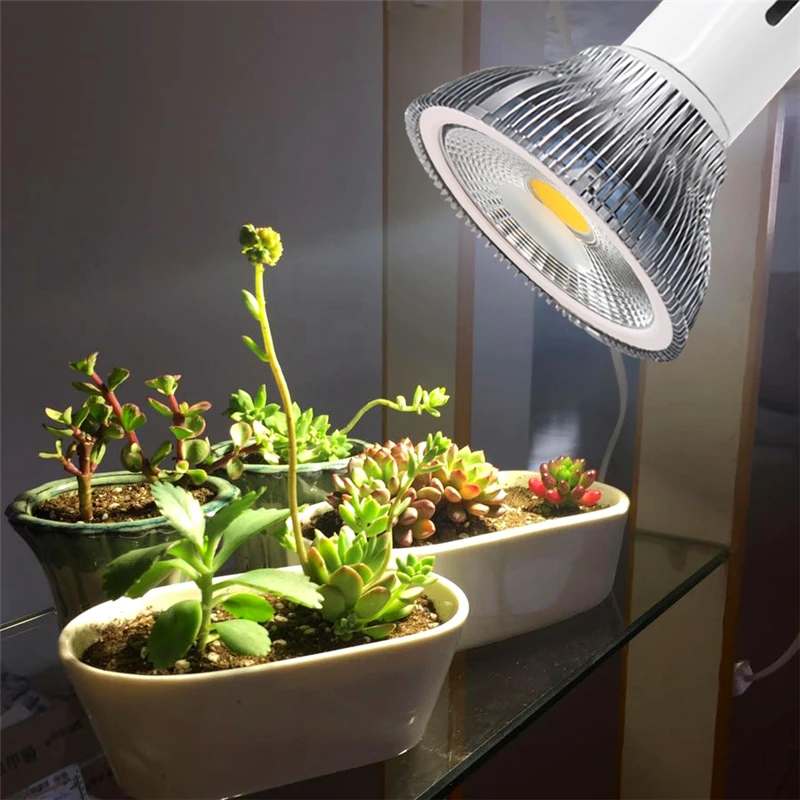 one set include holder Full-spectrum LED plant growth bulbs home meaty plant fill light like imitation sun light meat fill light