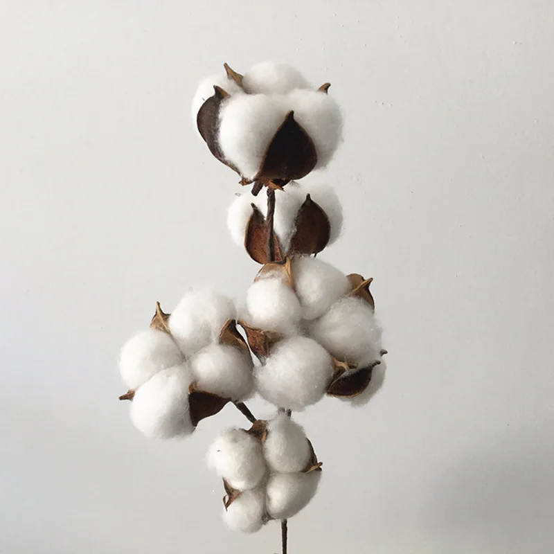 6 Head Dried Flower artificial cotton flower Branch single branch simulation flower wedding decoration for home party office image 4