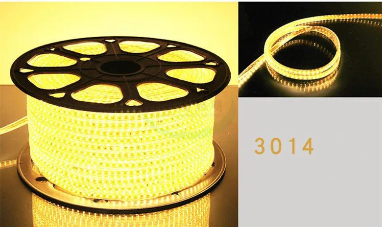 100m 220v double row 120LED/M SMD 5730 3014 2835 5050 led strips fit led strip light waterproof flexible ribbon rope white/warm