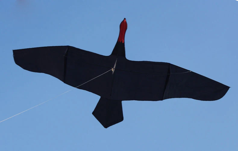 New Arrive Outdoor Fun Sports 3m  Black Swan Kite / Animal Kites With Handle & Line Good Flying